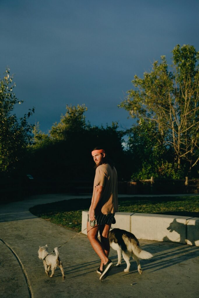 A man strolls through a sunny park with two dogs, one small and one large.