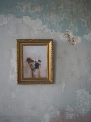 A framed dog portrait hanging on a textured, distressed wall in a vintage setting.